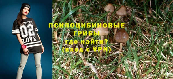 эйфоретик Абаза